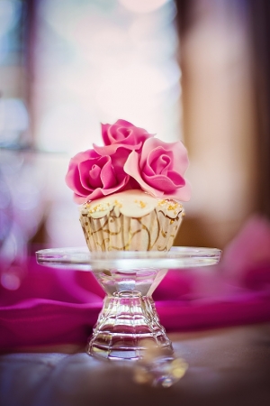 Růžová svatba na zámku Potštejn