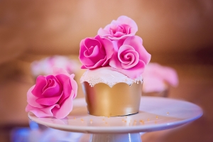 Růžová svatba na zámku Potštejn