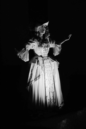 Ludvík XIV. na zámku Potštejn - akce roku 2015