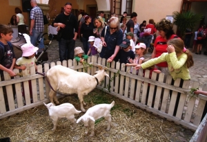 Velikonoce na zámku Potštejn - 4.dubna 2015