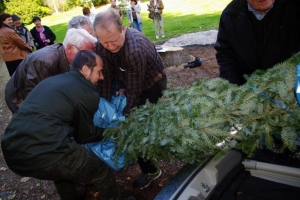 DEN STROMŮ NA ZÁMKU POTŠTEJN