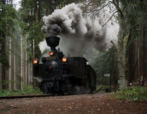 Den železnice do Potštejna a okolí