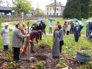 Den stromů v zámeckém parku