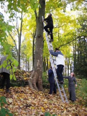 Den stromů v zámeckém parku