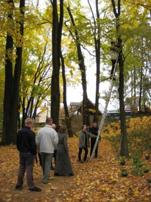 Den stromů v zámeckém parku