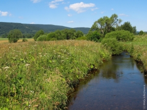 Říjnový páteční salon