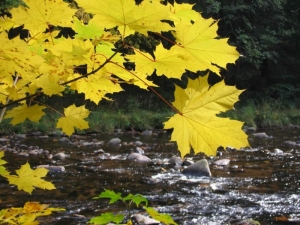 Říjnový páteční salon