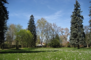 Zámecký park