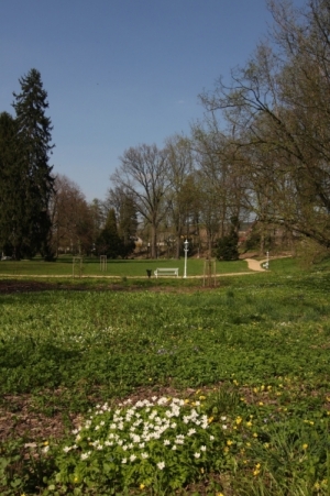 Zámecký park