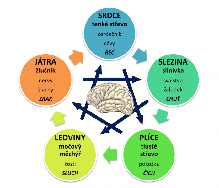 Naše zdraví z pohledu čínské medicíny